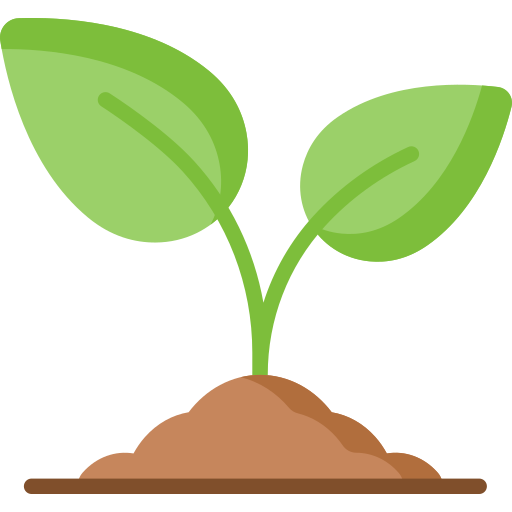 planta